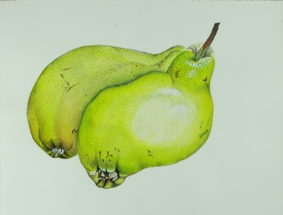 Deux poires