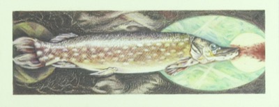 Poissons cercles verts